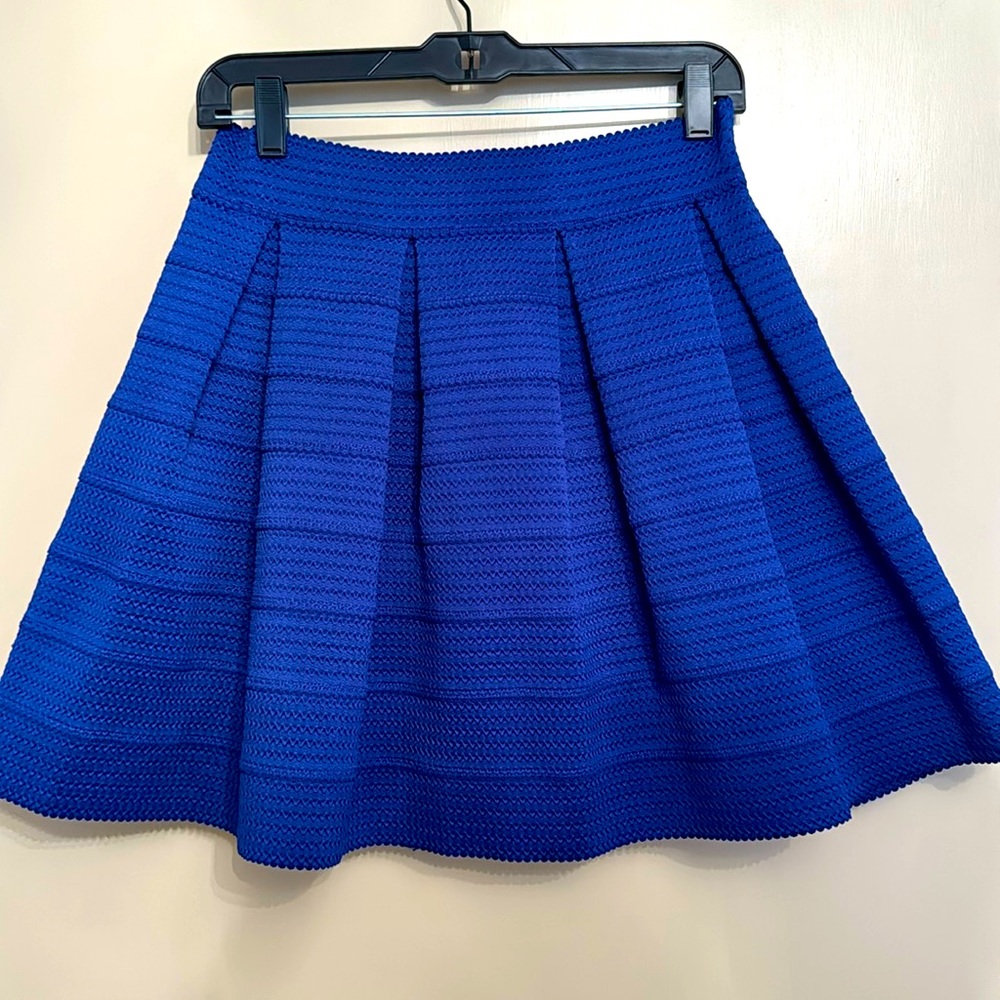 Express Pleated Skirt